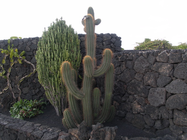 2008 12 Lanzarote 306