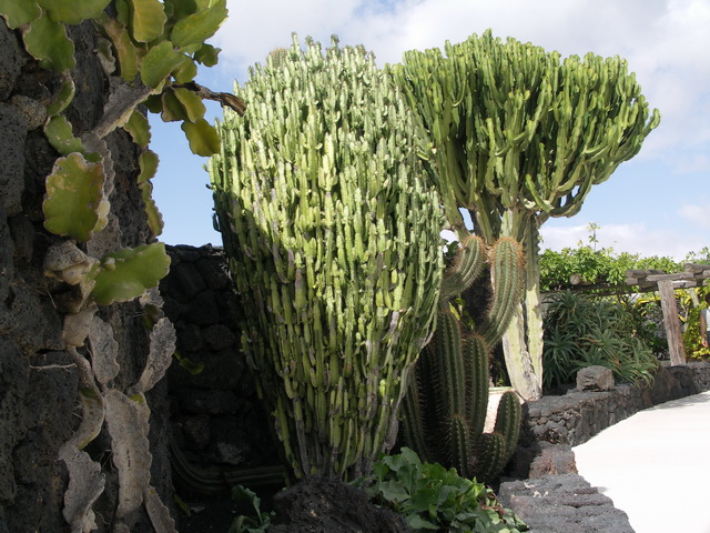 2008 12 Lanzarote 309