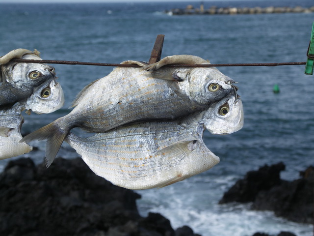 2008 12 Lanzarote 343