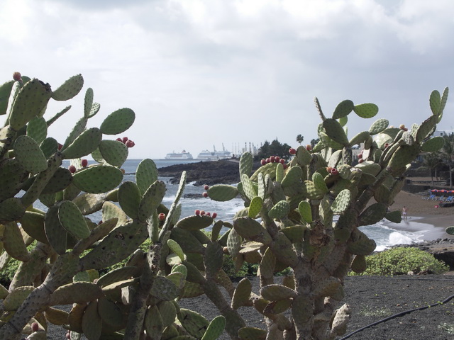 2008 12 Lanzarote 374