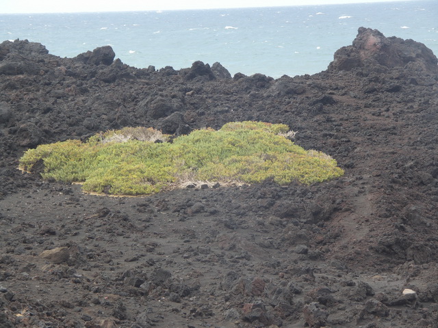 2008 12 Lanzarote 164