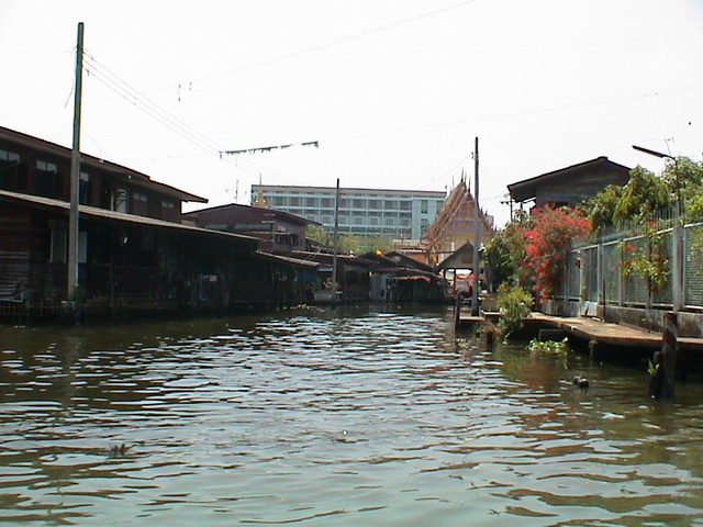 2008 03 Thailand 100