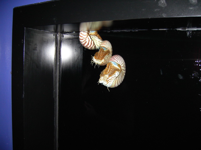 2008 03 Thailand 106