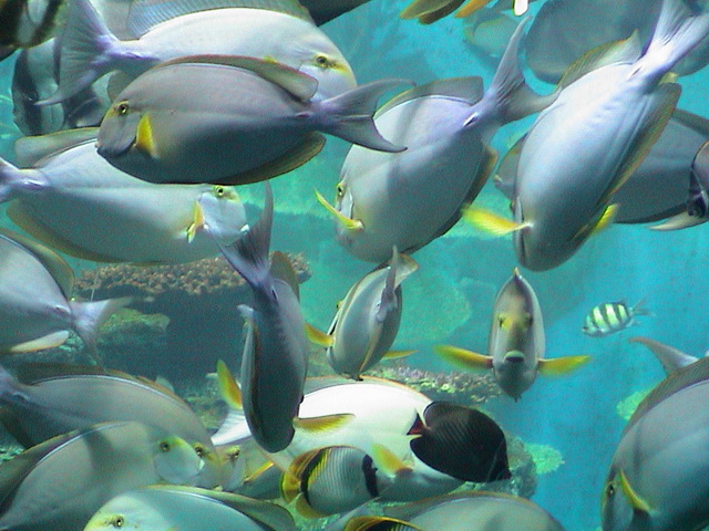 2008 03 Thailand 110