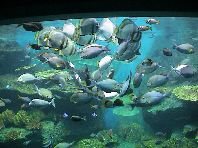 2008 03 Thailand 111