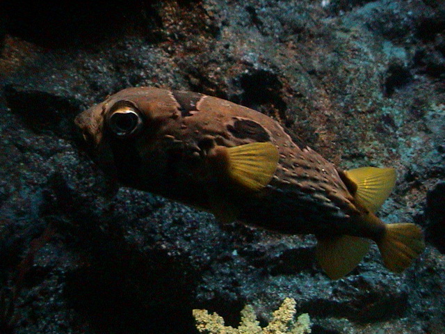 2008 03 Thailand 112