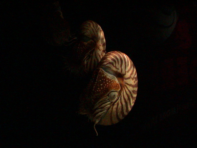 2008 03 Thailand 114