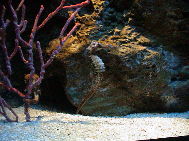 2008 03 Thailand 116