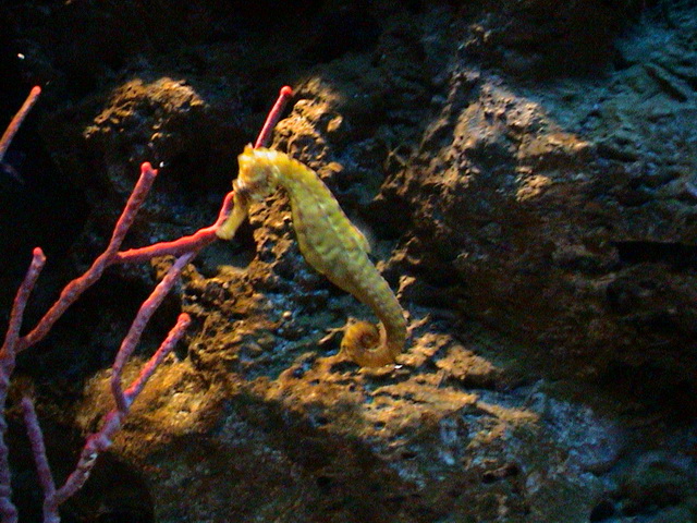 2008 03 Thailand 118