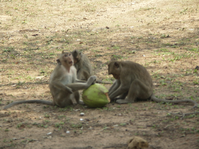 2008 03 Thailand 192