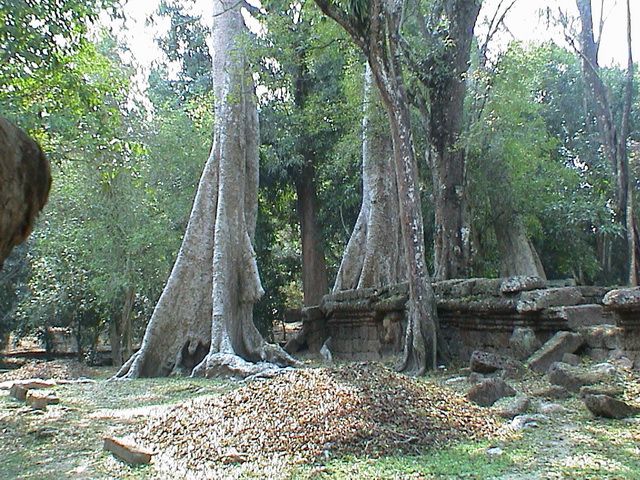 2008 03 Thailand 214