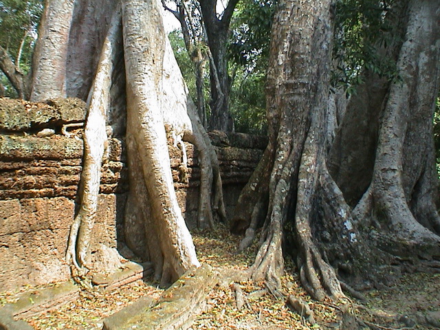 2008 03 Thailand 221