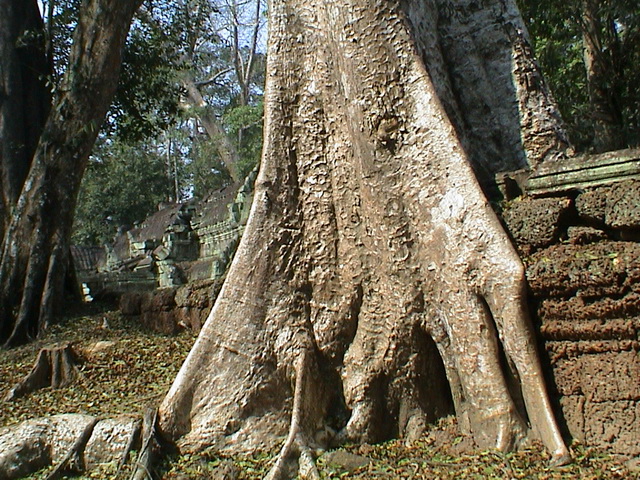 2008 03 Thailand 222