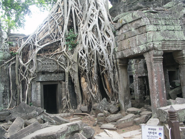 2008 03 Thailand 249