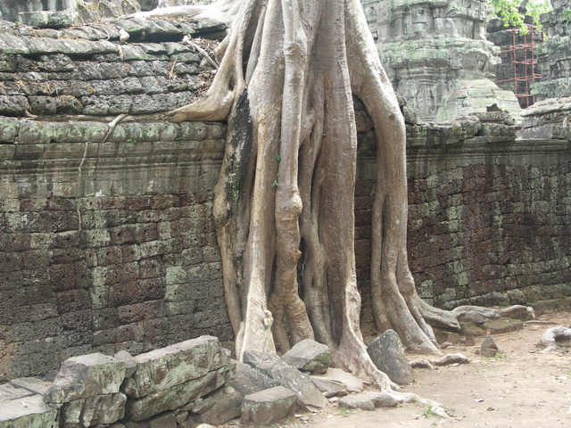 2008 03 Thailand 263