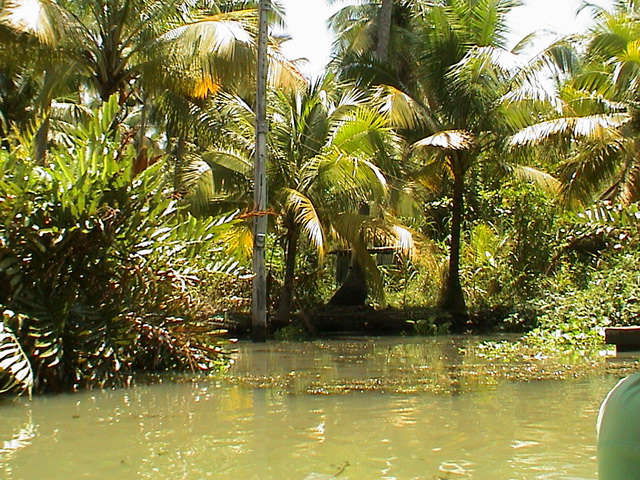 2008 03 Thailand 369