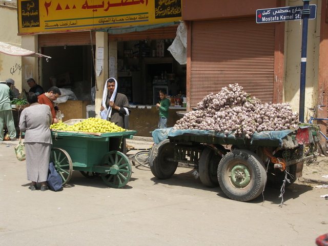 2009 04 Aegypten 036