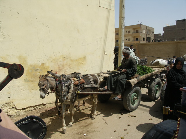 2009 04 Aegypten 038