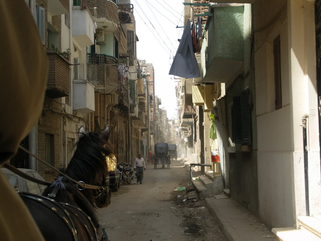 2009 04 Aegypten 041