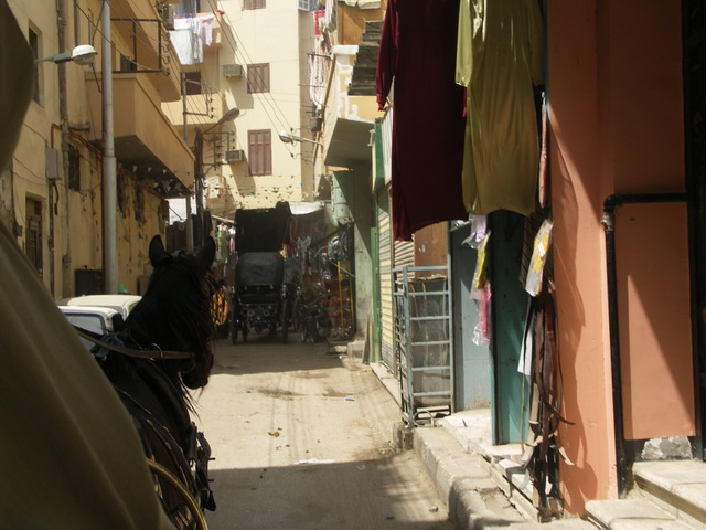 2009 04 Aegypten 042