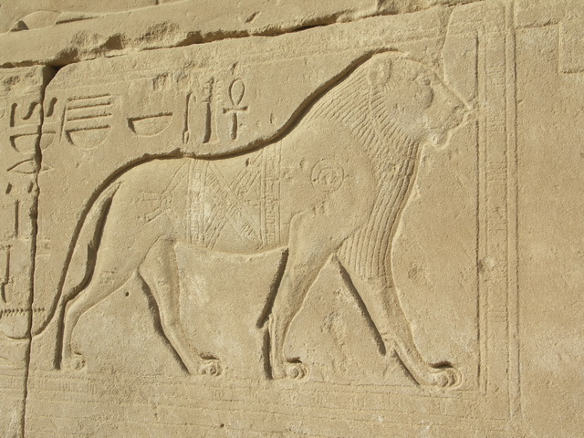 2009 04 Aegypten 210