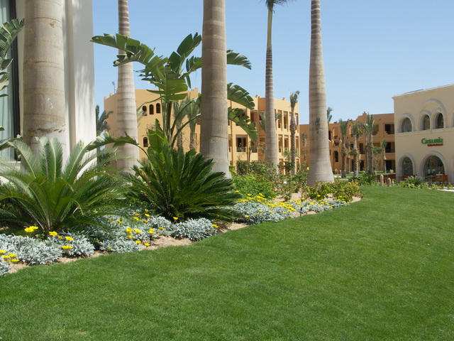 2009 04 Aegypten 745