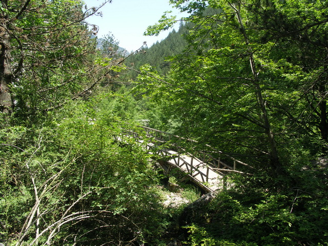 2009 09 OlympRiv 217