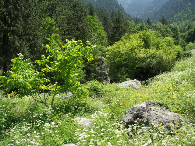 2009 09 OlympRiv 227