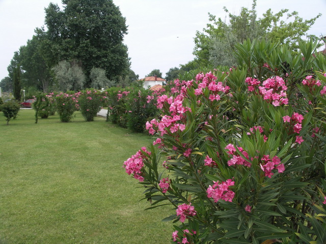 2009 09 OlympRiv 292