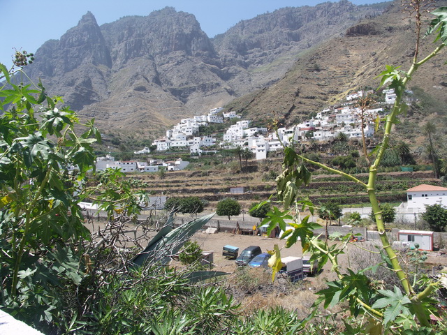2010 14 Gran Canaria 213