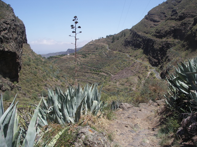 2010 14 Gran Canaria 222