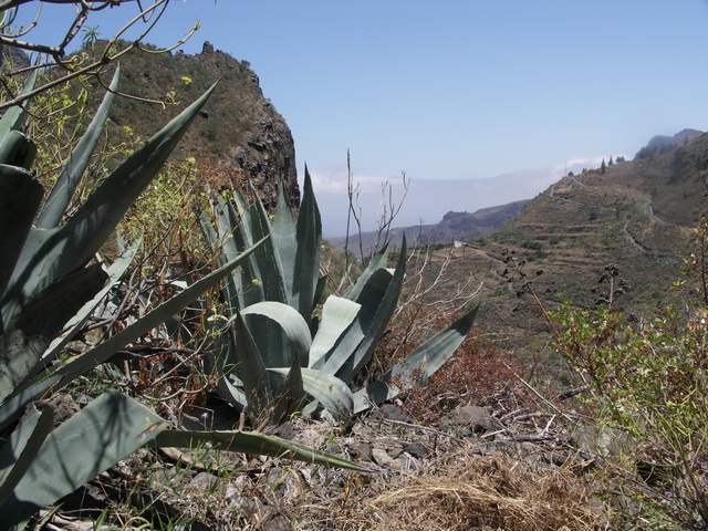 2010 14 Gran Canaria 225