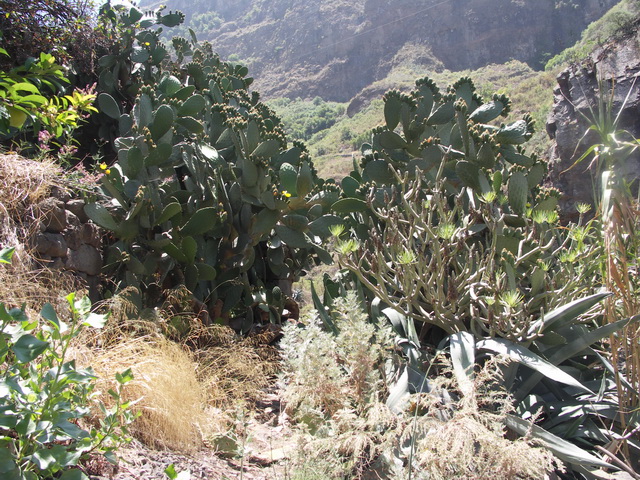 2010 14 Gran Canaria 227