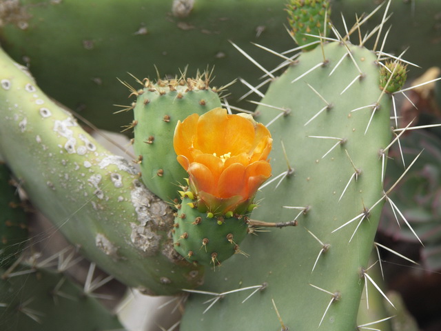 2010 14 Gran Canaria 275