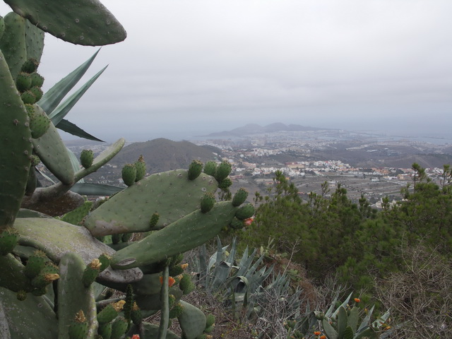 2010 14 Gran Canaria 276