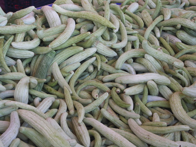 2010 18 Kappadokien 103