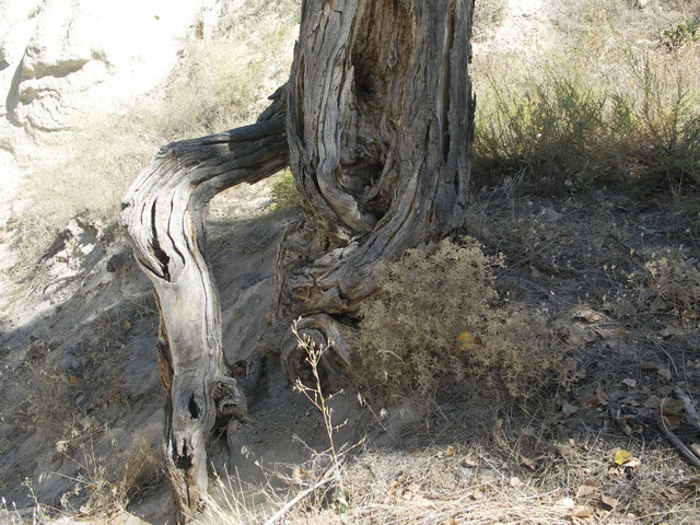 2010 18 Kappadokien 148