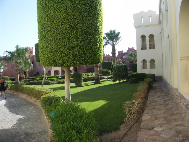 2010 09 Sharm el Shaik 128