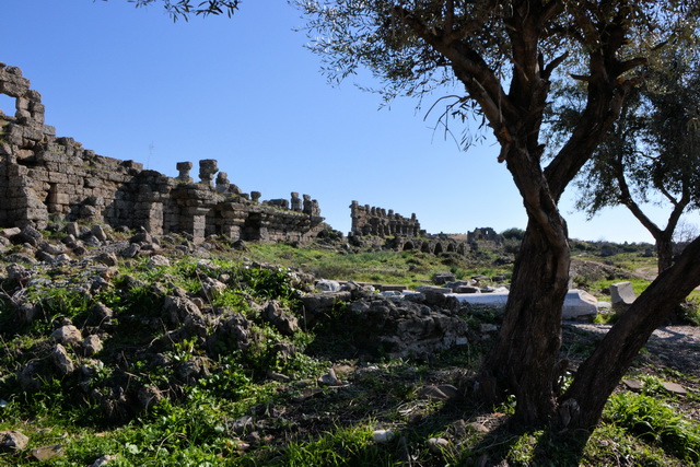 2012 01 AmeliaBeach 018