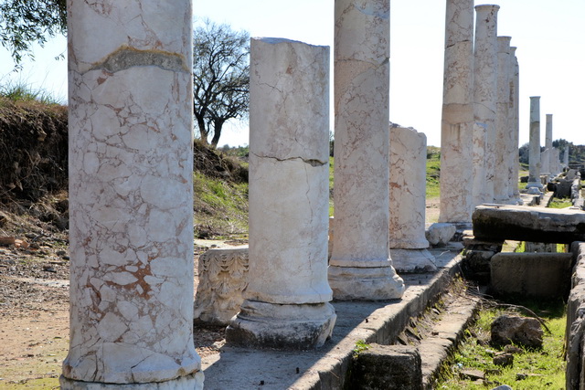 2012 01 AmeliaBeach 025