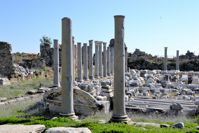 2012 01 AmeliaBeach 047