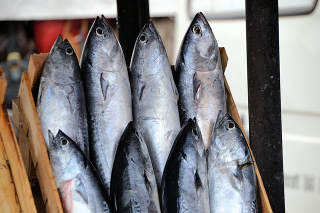 2012 01 AmeliaBeach 124