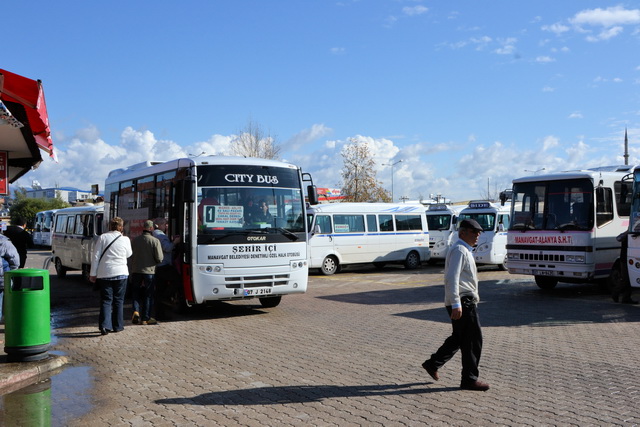 2012 01 AmeliaBeach 143