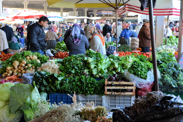 2012 01 AmeliaBeach 161