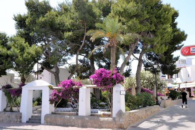 2012 18 TaridaBeach 147