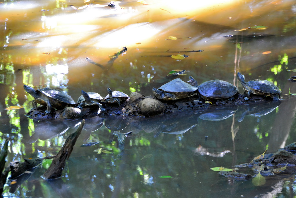 2013 24 Dominikanische Republik 175