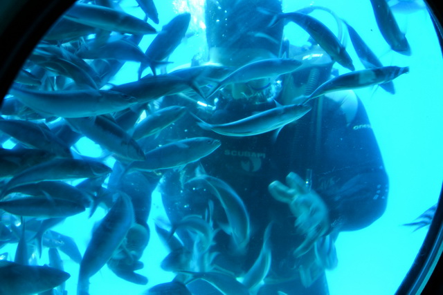 2013 13 1001 Nacht 133