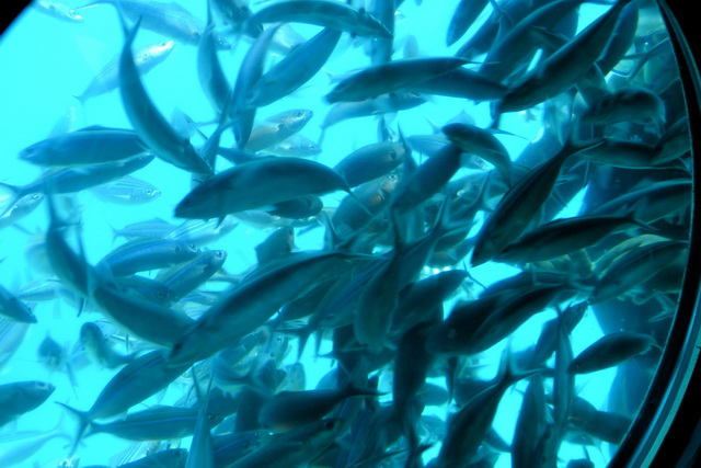 2013 13 1001 Nacht 131