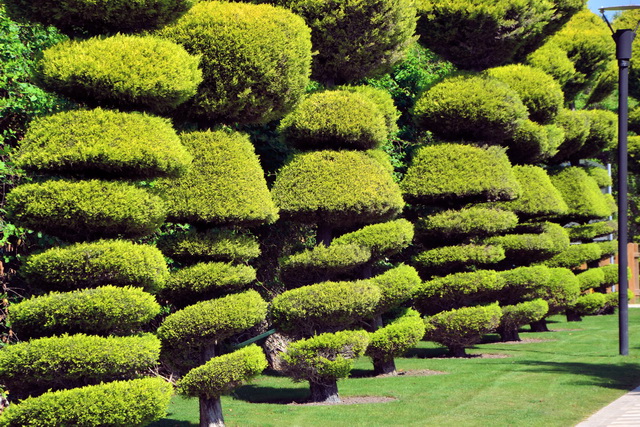 2013 08 Concorde 093