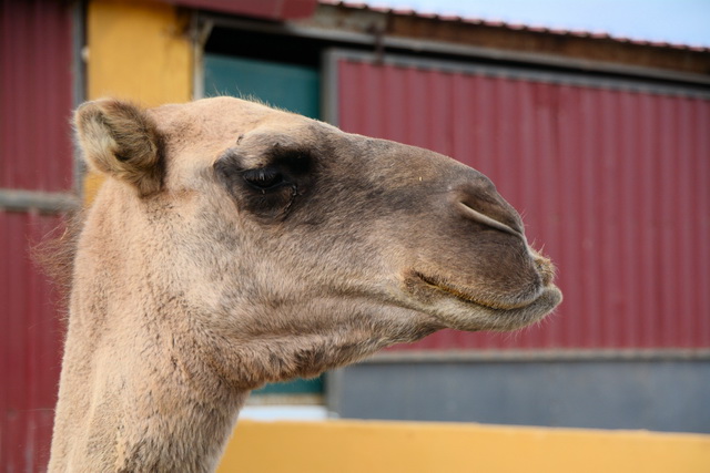 2014 09 30 Atlantis 004